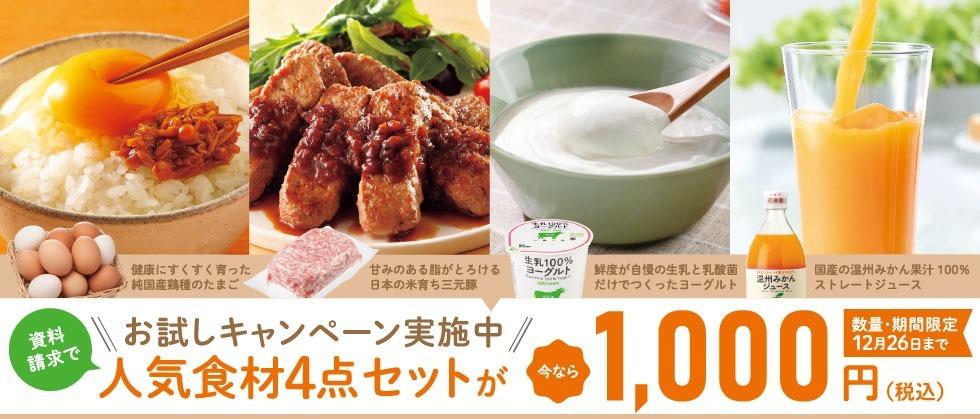 はじめての方へ　資料請求でおすすめお試し4点セット1000円