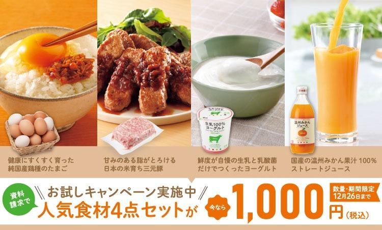 はじめての方へ　資料請求でおすすめお試し4点セット1000円